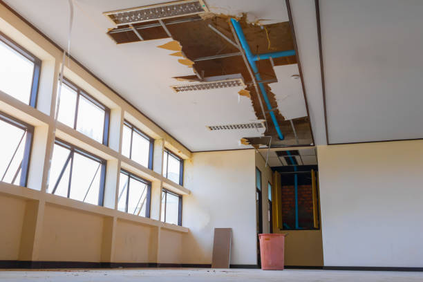Best 24/7 water damage repair  in Nevada, IA