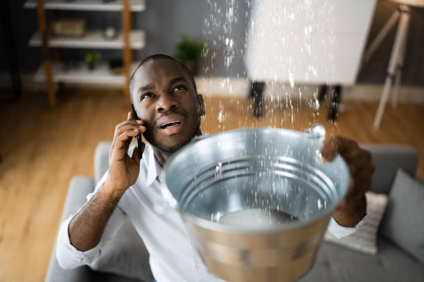 Best Mold removal after water damage  in Nevada, IA