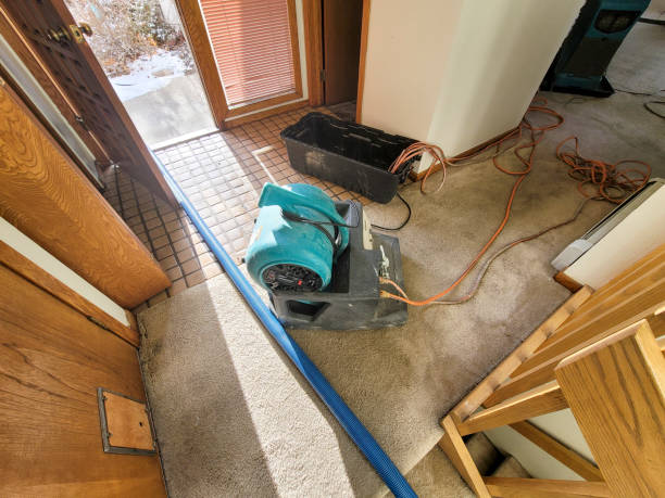 Best Water damage restoration near me  in Nevada, IA