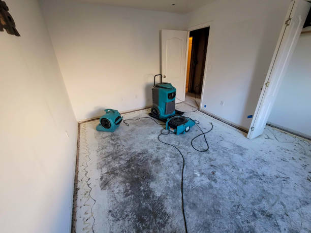 Best Local water damage restoration  in Nevada, IA