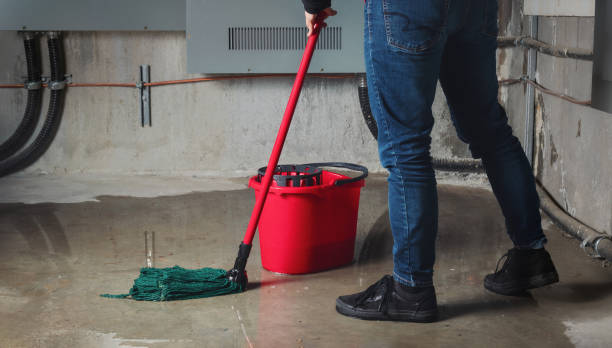 Best Water damage cleanup near me  in Nevada, IA