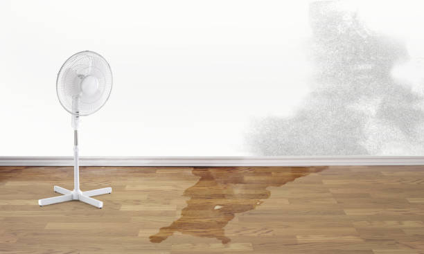 Best Sewage cleanup and water damage restoration  in Nevada, IA