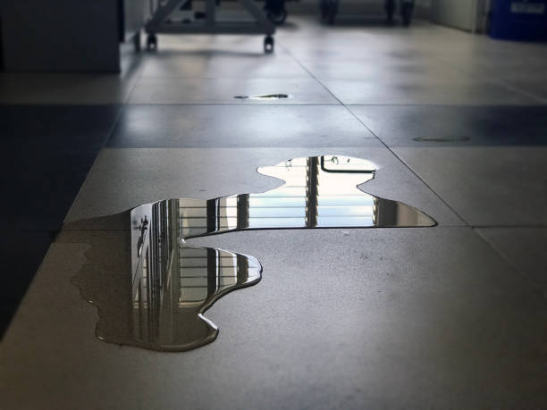 Best Water damage restoration near me  in Nevada, IA