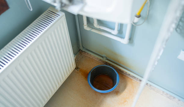 Best Water damage restoration near me  in Nevada, IA