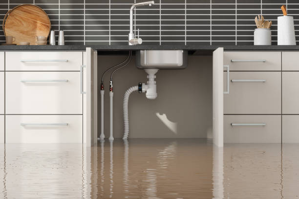 Best Carpet water damage restoration  in Nevada, IA