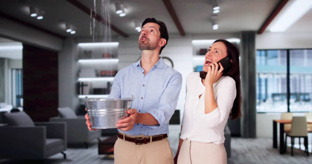 Best Carpet water damage restoration  in Nevada, IA